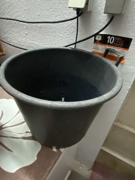 Dois vasos grandes e doas floreiras com prato