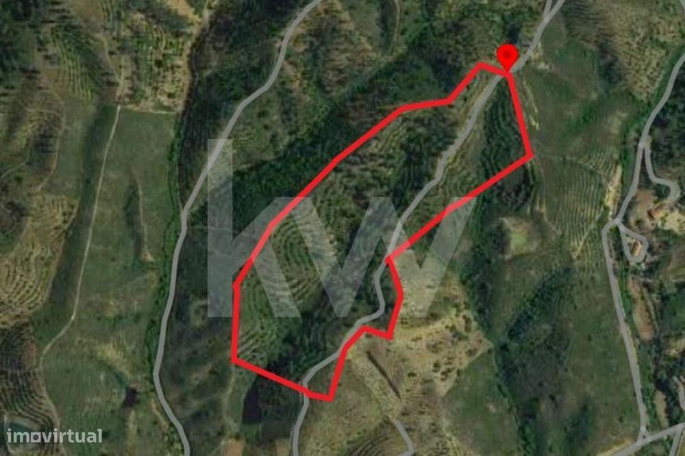 Terreno Rústico com 82860 m2 sito em Matosos, São Bartolomeu de Messin — Silves, Faro