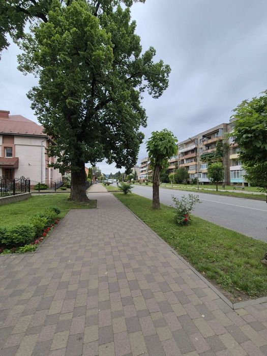 Продається будинок з чудовим краєвидом  у селі  Березний