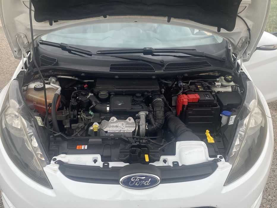 Fiesta diesel economico