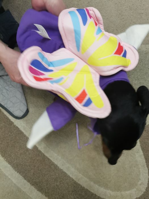 Костюм метелика на собаку