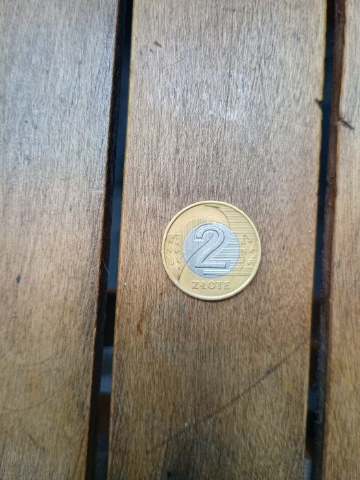 Wyjątkowa moneta 2 złote z 1994 roku – stan kolekcjonerski