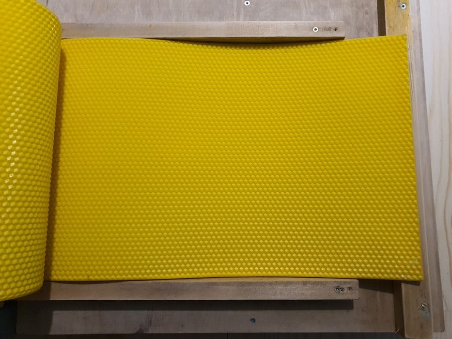 Pszczelarstwo- matryca