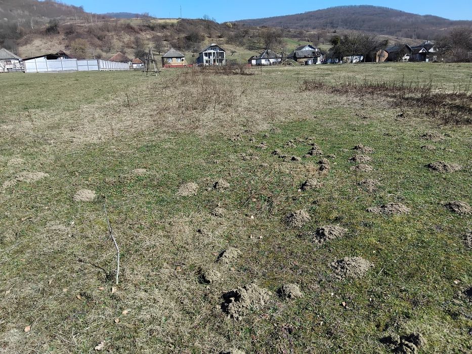 Продаю земельну ділянку поруч курорту Поляна Закарпатської області