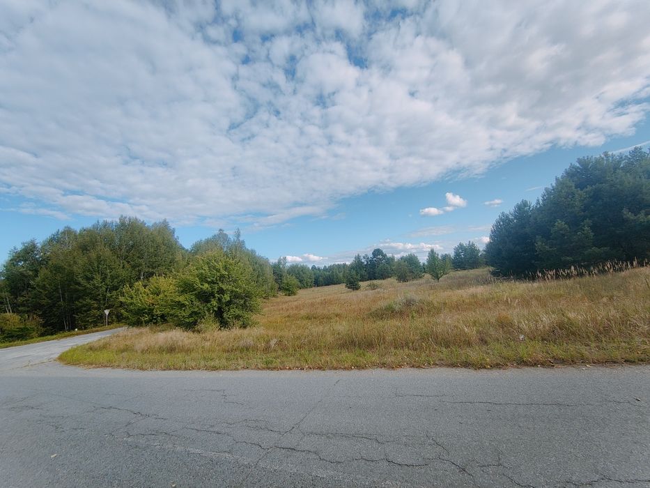 Продам земельну ділянку 2 га с/г призначення