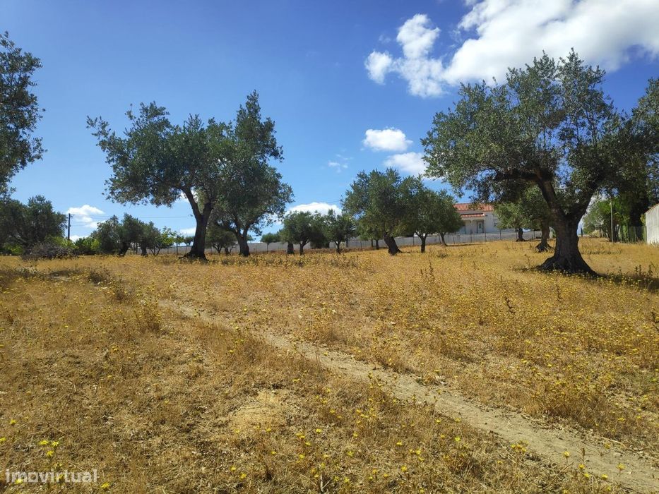 Terreno com cerca de 6000m2 em São Simão, Tomar. — Além Da Ribeira E Pedreira, Santarém