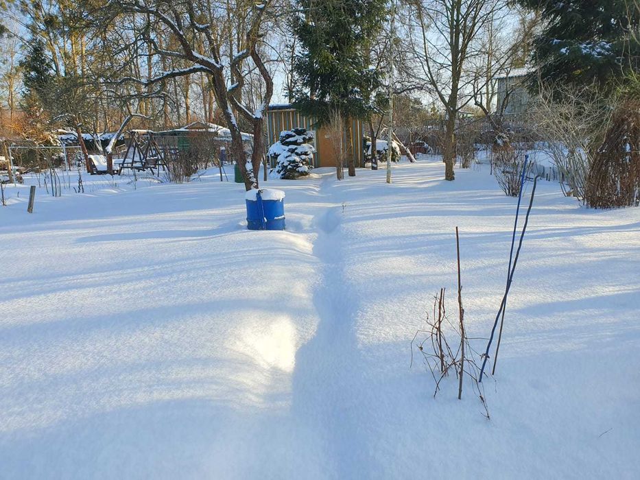 OGŁOSZENIE DZIŚ WYGAŚNIE Działka rekreacyjna - Sybiraków/Rataja, ROD im. Konopnickiej - Widok 2