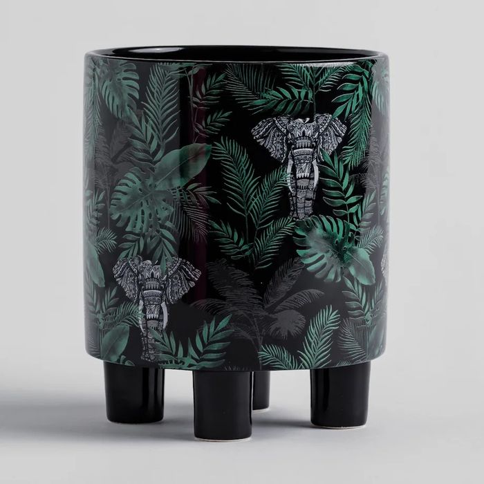 Doniczka z motywacja tropikalne dżungli