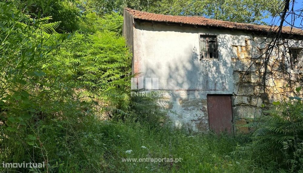 Venda Terreno, São Cristóvão de Nogueira, Cinfães