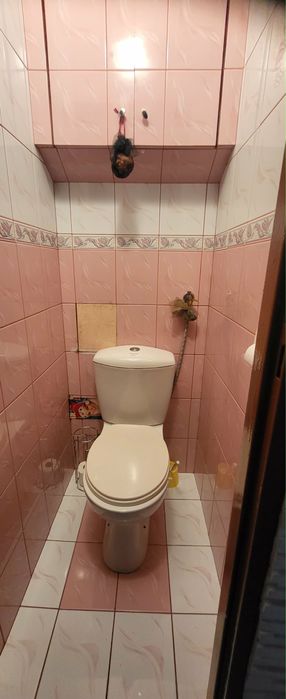 Zdjęcie 8
