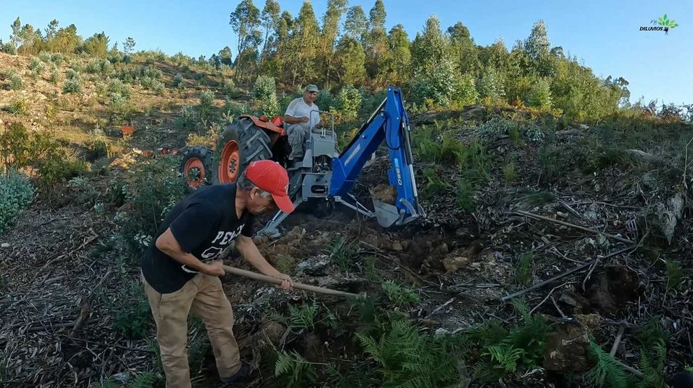Vende‑se Quinta do Vale — 7 hectares de natureza viva