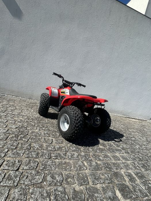 Suzuki LT-A50 Quad Master