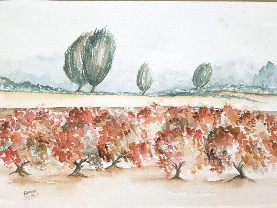 Mestre José Tavares Correia - Paisagem aquarela assinada