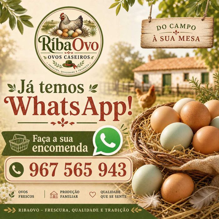 Ovos caseiros de galinhas felizes criadas ao ar livre