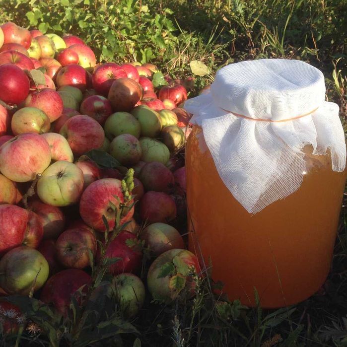 Натуральный нефильтрованный яблочный уксус, яблучний оцет на мёде