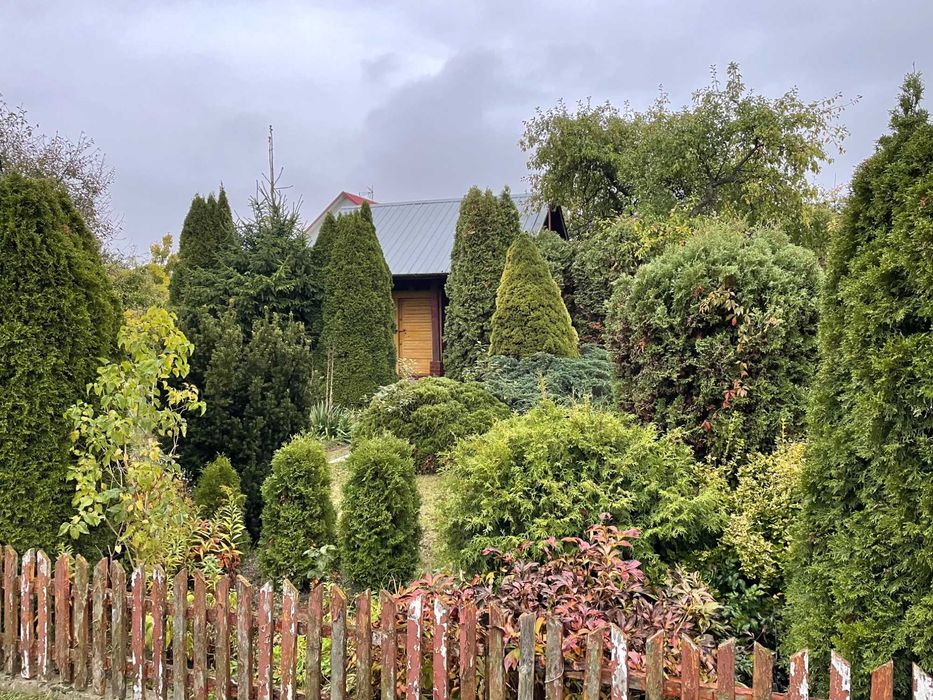 Działka ROD FASTY, Ogródek działkowy sprzedam