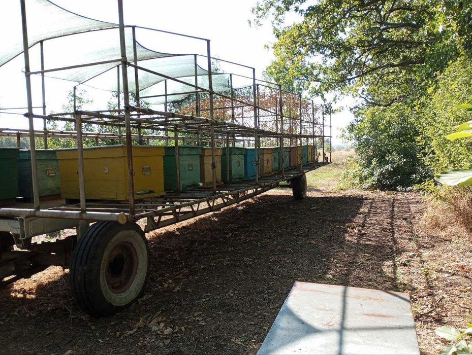 Бджолопавільйон двох'ярусний на 56 сімей з постановою на теплий занос