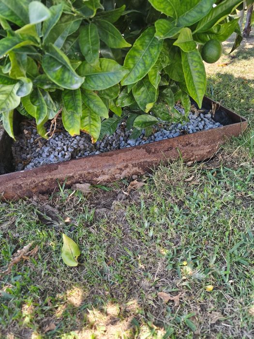 Bordadura Arvores em ferro