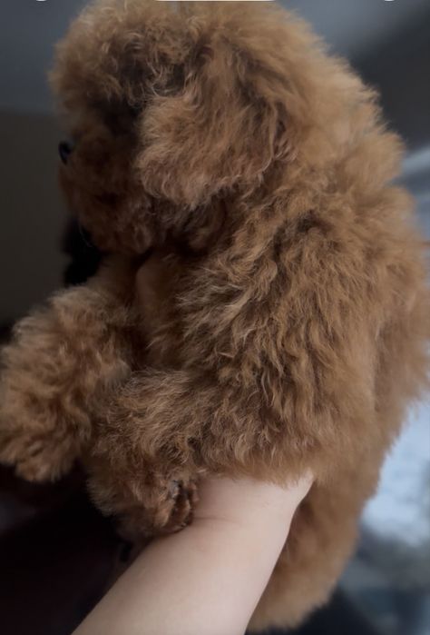 Китайская девочка