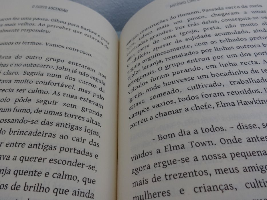 Livro "O Surto - Ascensão"