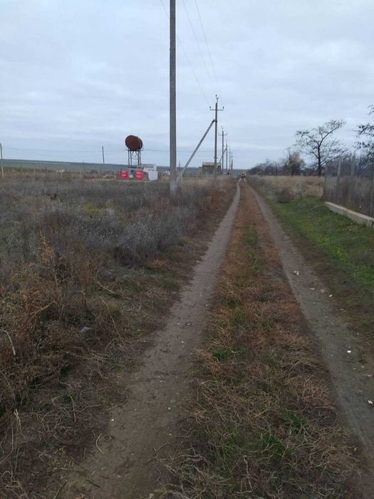 Светлое дачи, участки от 6 соток, документы по интересным ценам.