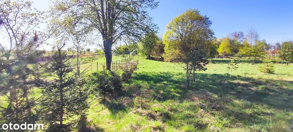 Działka Sępólno Wielkie, gmina Biały Bór, sprzedaż