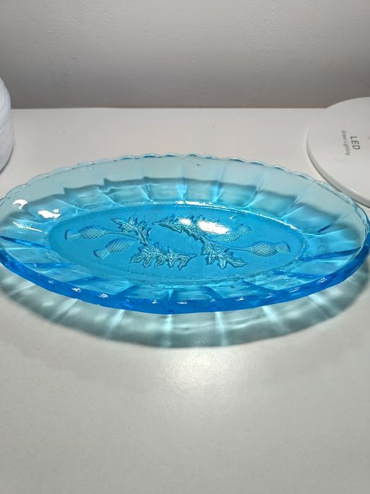 Śledziówka osty niebieska