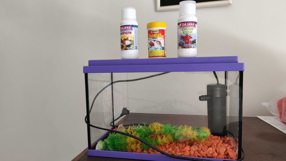 Aquário 15L 35cmx18cmx23cm