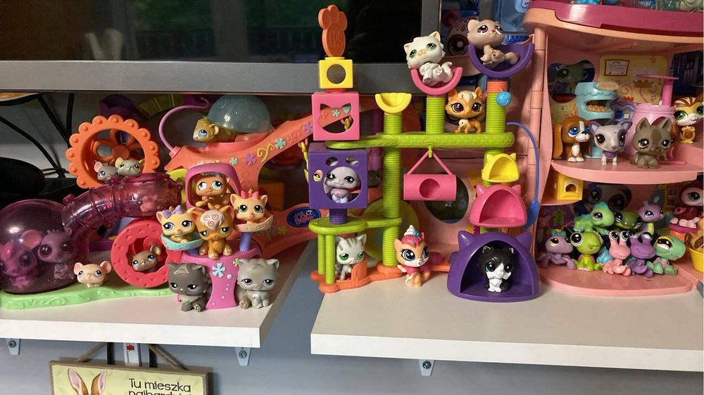 Kolekcja littlest pet shop