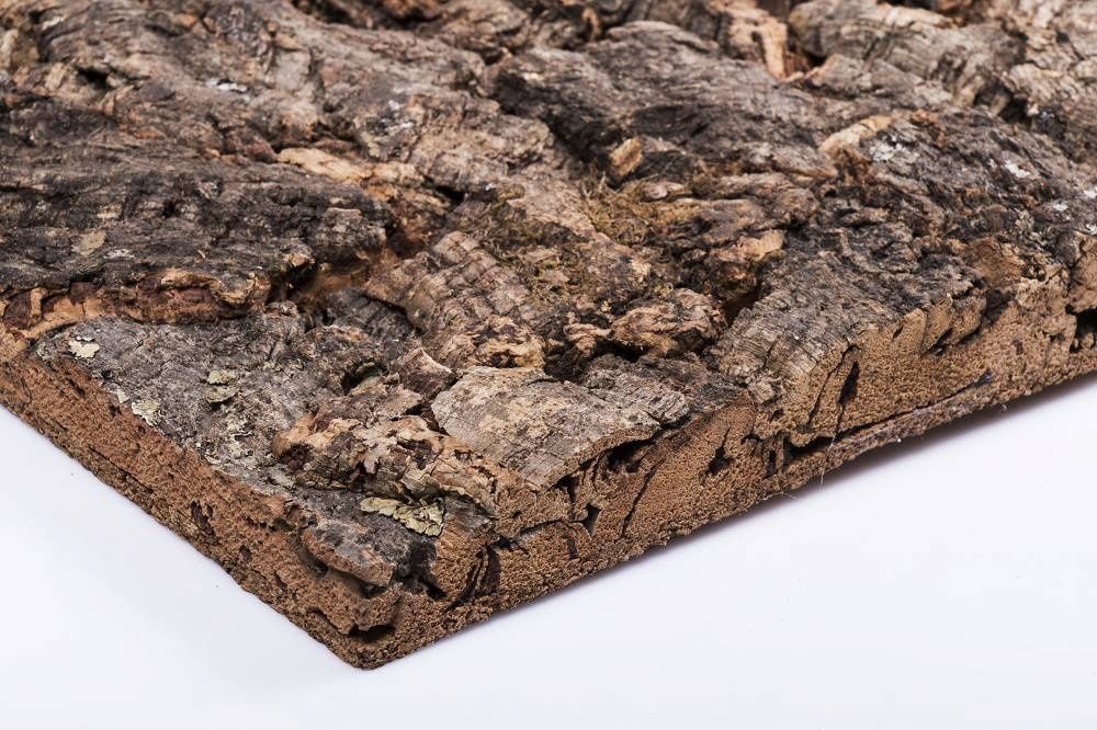Tło do terrarium kora korkowa virgin 60x30