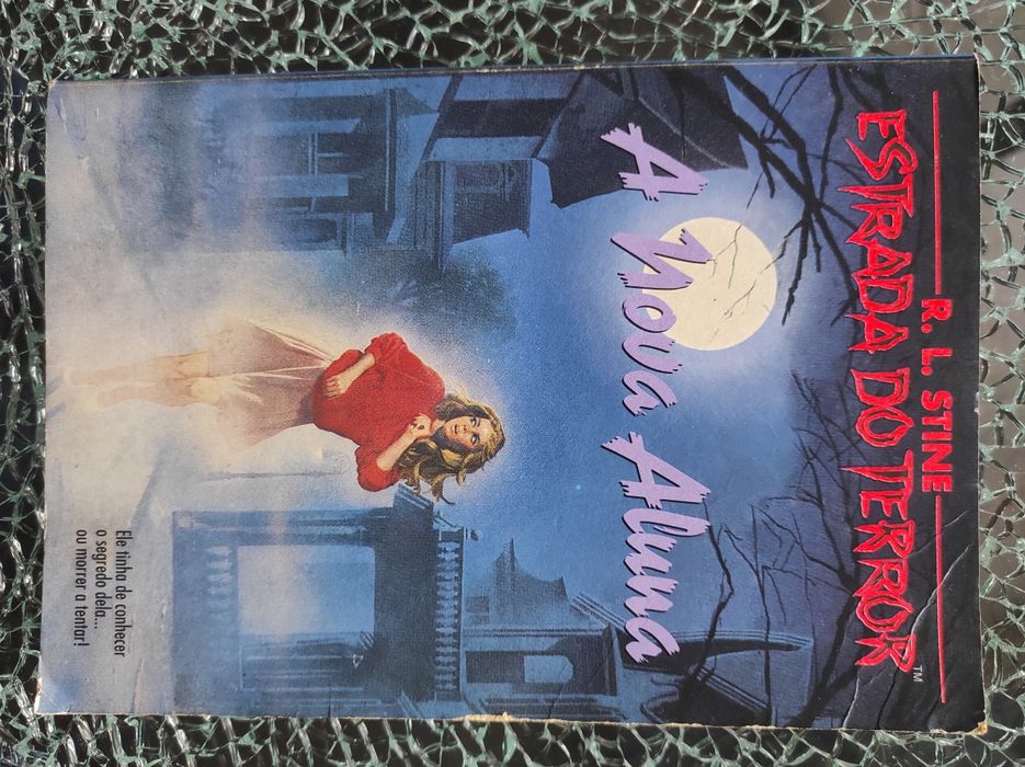 A Estrada do Terror A Nova Aluna R. L. Stine