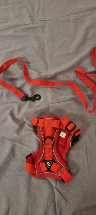 szelki S dla yorka małego psa czerwone z liną nowe