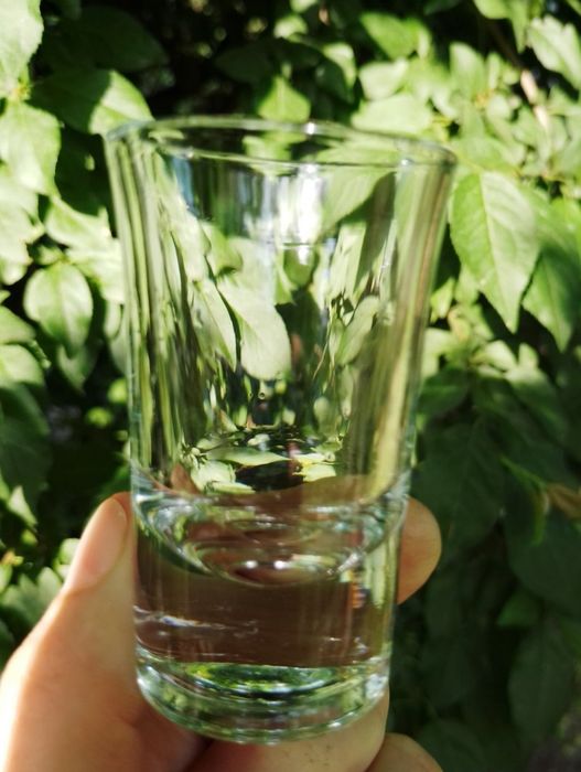 Набір чарок з 6 шт.