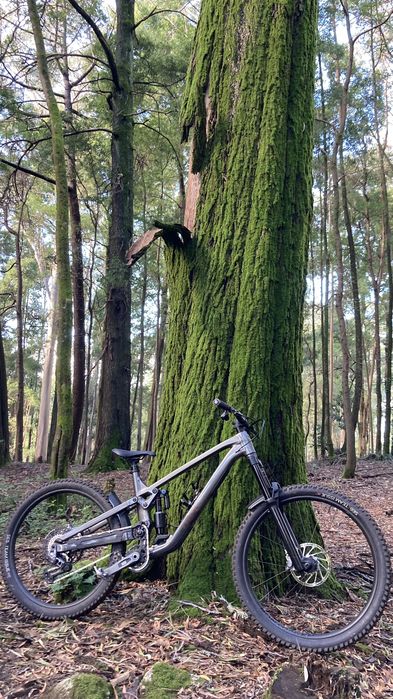 Trek Slash 9 AXS T-Type (Gen 6) L