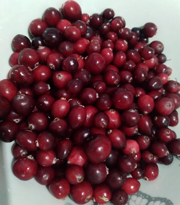 Żurawina bagienna błotna w słoiku konfitura, dżem 280g.