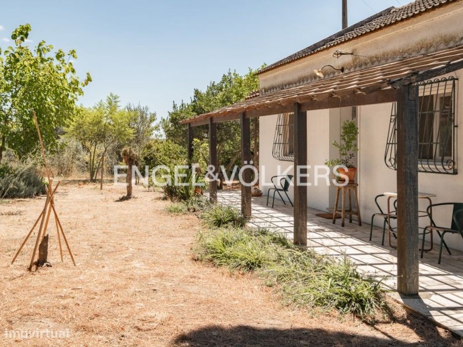 Charming Retreat in Santo Estêvão with 7,000 m² of Nature and Privacy...