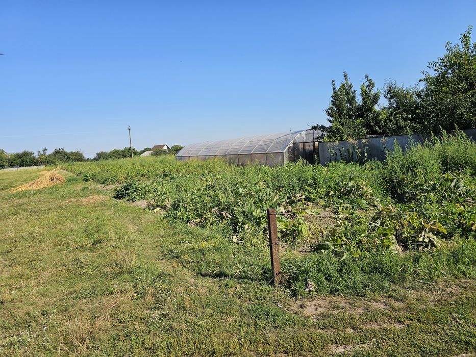 Земельна ділянка 9.3 соти , село гоголев