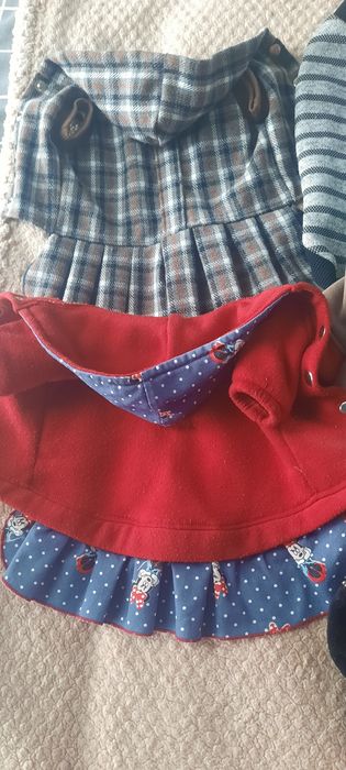 Продам одяг для собачки