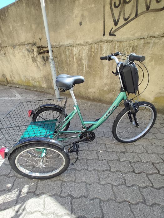 Triciclo adulto Terra