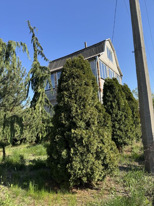 Продам  Дачу в Кудашево СТ -Домнаремонтовец.