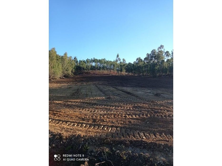 Terreno Rústico com 10.760 m² - Mação — Mação, Penhascoso E Aboboreira, Santarém