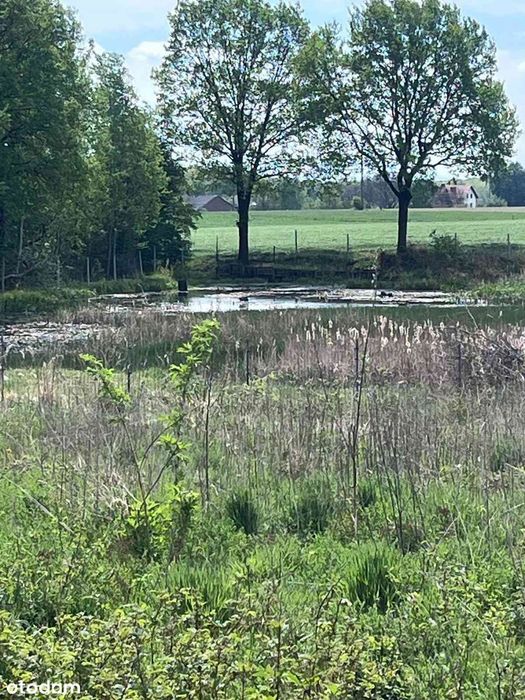 Wynajem ogrodkow działkowych 200 - 600m2 MIKOLOW GNIOTEK