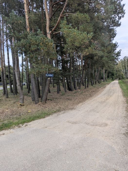 Działka MPZP 1612 m² Starowola – blisko Liwca, sosny, media przy drodze - Więcej