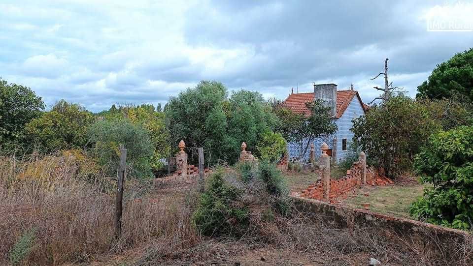 Quinta em Santarém (16,165HA)