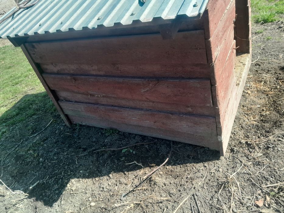 Duża buda dla pieska