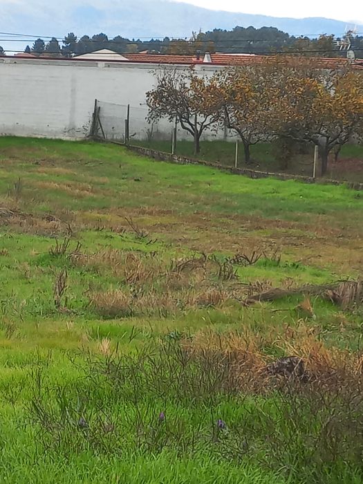 terreno com 1295 m2  para venda