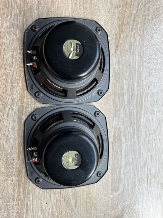 Fostex fe167e, głośniki full range,