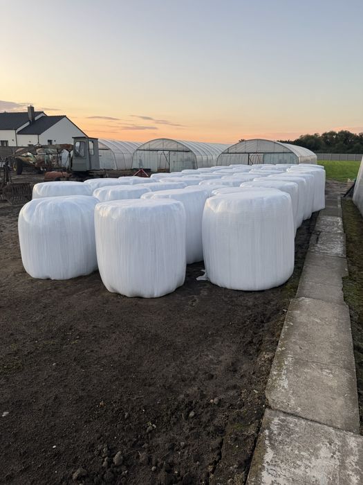 Baloty sianokiszonki