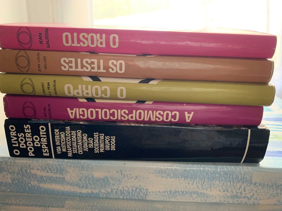 Lote de livros variados