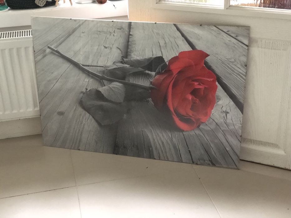 Antyrama szkło , róża, kwiat , obraz, dekoracja, 90x60